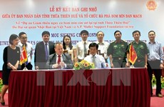 Denmark helps clear leftover ordnance in Thua Thien-Hue