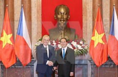 Vietnam, Czech Republic agree to foster ties across fields 