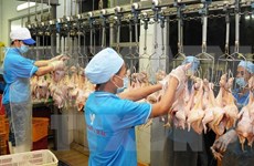 First batch of Vietnam poultry products to be sold in Japan
