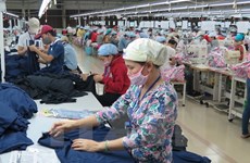 Thua Thien-Hue pours nearly 52 bln VND into support industry 