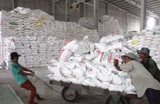 VN’s rice export price hits 3-year high