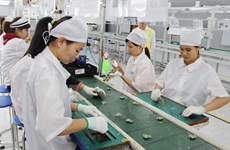 Vietnam-EU trade up 16.2 percent in five months 