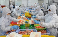Australia – potential market for Vietnam goods