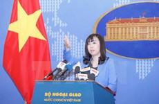 Vietnam wants to develop friendship with RoK: FM’s spokesperson 