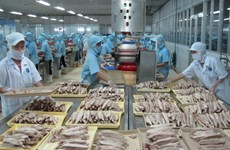 Norway helps Vietnam boost aquaculture training