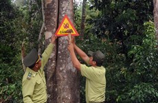Sustainable forests project launched