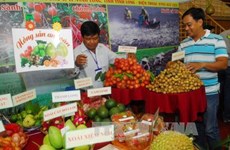 First agricultural trade fair opens in An Giang