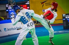 Vietnam wins first silver taekwondo medal on global stage 