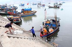 Ha Tinh to complete marine environment incident compensation in June