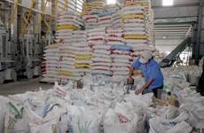 Philippines invites tenders for 250,000 tonnes of rice