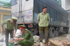 Thanh Hoa seizes nearly 2 tonnes of suspected ivory
