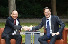 PMs of Vietnam, Netherlands vow to deepen ties 
