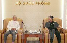 Defence links – crucial pillar in Vietnam-Japan ties: Minister 