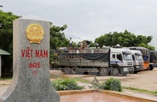 Vietnamese, Lao localities foster cooperation in border management