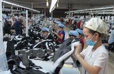 Vietnam ships footwear to nearly 100 countries 