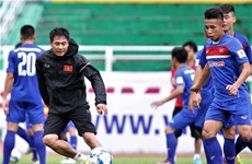Vietnam can make AFC final round: coach