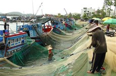 Khanh Hoa provides training for more than 4,200 fishermen