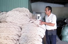 DOC stops anti-dumping investigation against VN polyester fibre