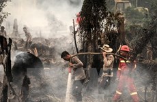 Malaysia ready to assist Indonesia in battling forest fires 