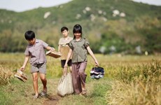 Vietnamese film to be screened in Japan