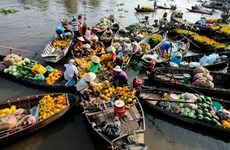 Mekong Delta on right track to boost tourism