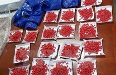 Lao national arrested for smuggling 10,000 drug pills into Vietnam