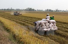 Vietnam, Mozambique discuss promoting agricultural ties  
