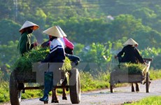 Hai Duong has additional 13 new-style rural areas