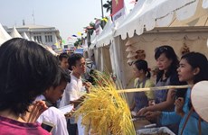 Vietnam’s signature Nem introduced at food festival in Indonesia