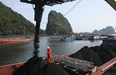 Coal trans-shipment port gets green-light