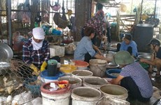 Thanh Hoa rife with illegal slaughterhouses