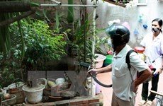 Hanoi sees six dengue fever fatalities 