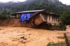 Vietnamese Embassy in Laos supports flood victims at home 