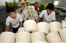 Dinh Vu Polyester Fibre Plant to restart production