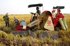SVEAM works to boost export of Vietnamese agricultural machinery