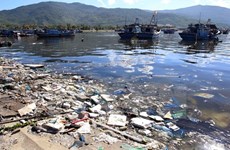 Coastal Da Nang city faces severe pollution problems