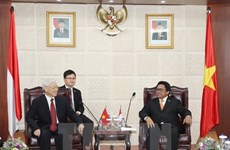 Vietnam, Indonesia aim for deeper strategic partnership