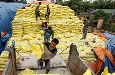 Temporary duties on fertiliser may hurt farmers