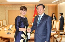 Deputy PM Vuong Dinh Hue receives foreign ambassadors