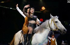 Joint Vietnam-Japan circus performance to entertain Vietnam audience