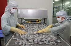 Challenges still ahead for Vietnamese seafood exporters