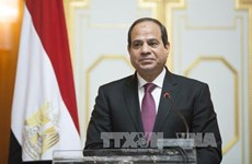 Egyptian President to pay State visit to Vietnam