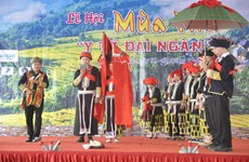 Tourists invited to explore unique ethnic culture in Y Ty