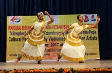 Ninth Vietnam-India friendship festival opens in Indian city