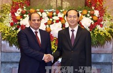 Vietnamese, Egyptian Presidents hold talks