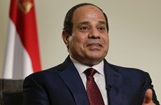 Egyptian President on first-ever State visit to Vietnam