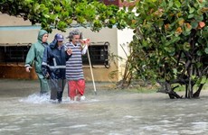 Sympathies sent to Cuba on big losses in hurricane Irma