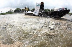 Vietnam steps up aquaculture cooperation with Cambodia 
