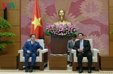Vietnamese Party official meets Japanese trade minister