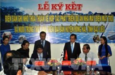 RoK’s group to build 450-mln-USD solar power plant in Bac Lieu